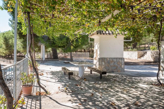 Paraje fuente de la Inmaculada 5